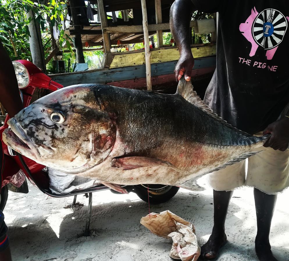 Kae Funk Zanzibar Otel Michamvi Dış mekan fotoğraf