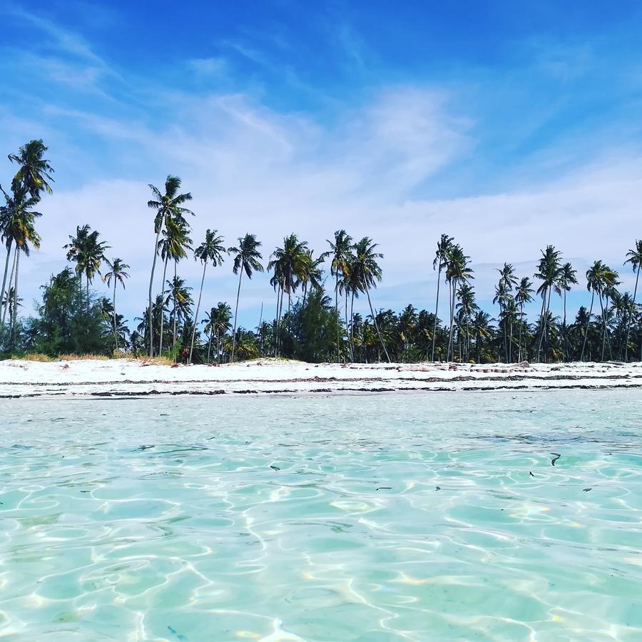 Kae Funk Zanzibar Otel Michamvi Dış mekan fotoğraf