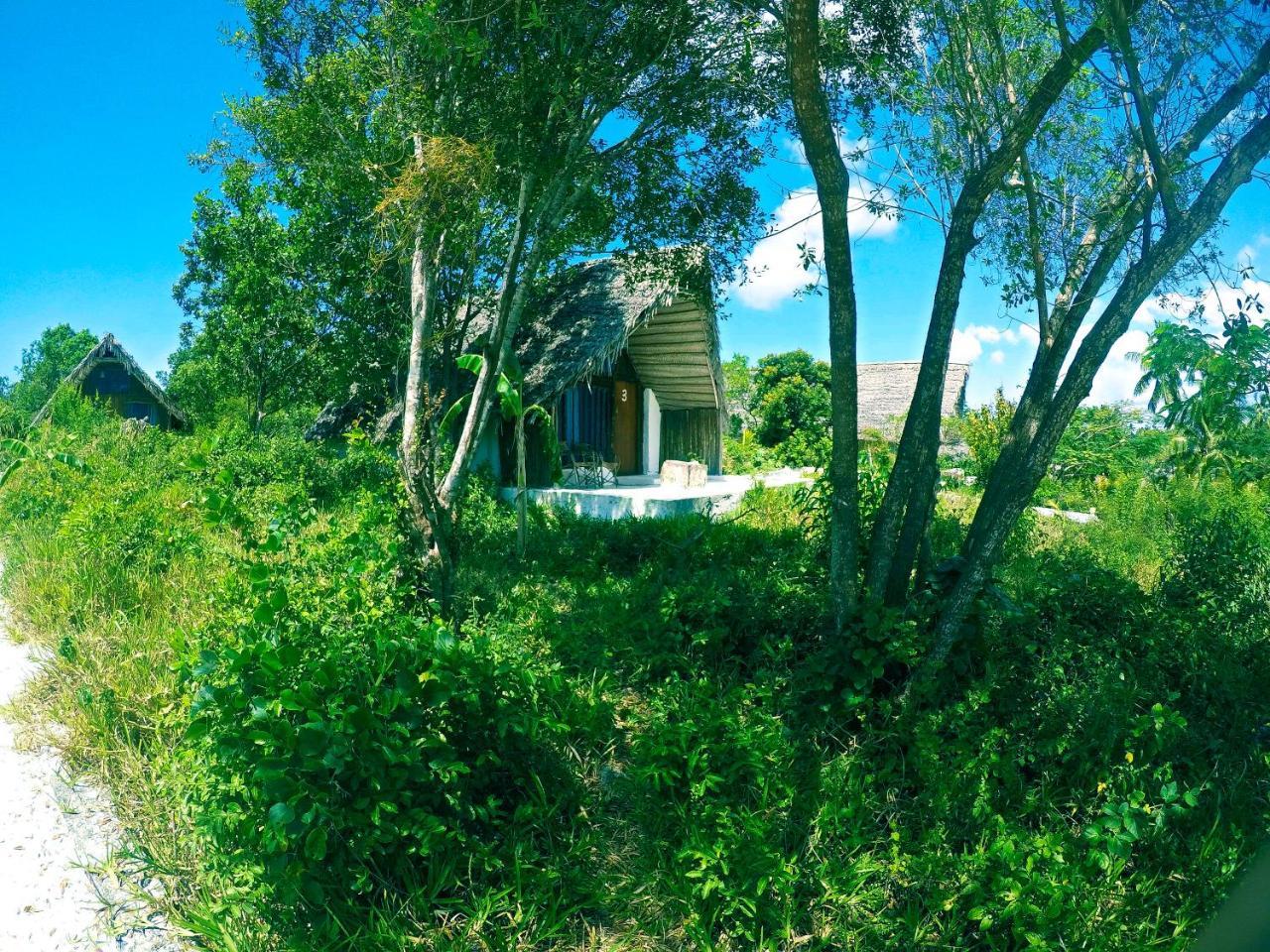 Kae Funk Zanzibar Otel Michamvi Dış mekan fotoğraf